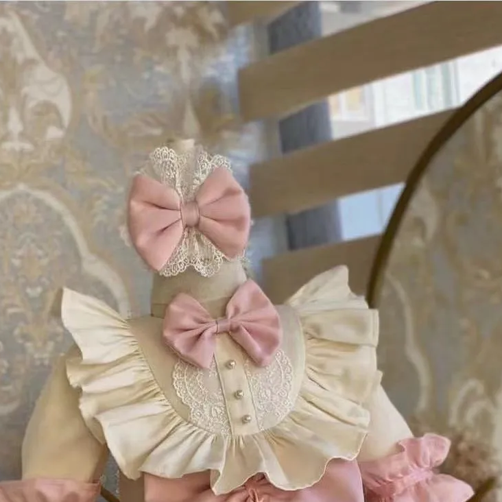 Elegance in Pink:The Royal Princess Dress,6M to 10T.